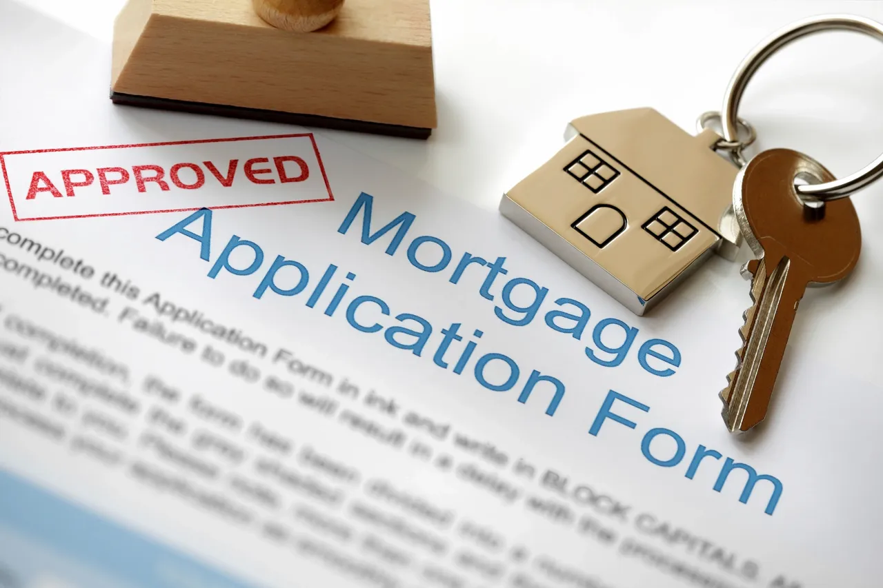 Options for Low Credit Score Borrowers in the Mortgage Market